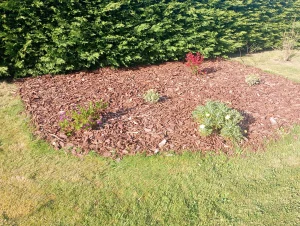 Jardinier Paysagiste Entretien Illustration 3