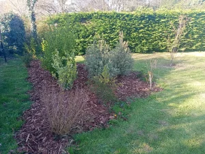 Jardinier Paysagiste Entretien Illustration 2