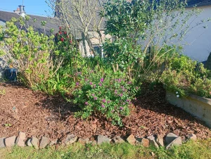 Jardinier Paysagiste Entretien Illustration 1
