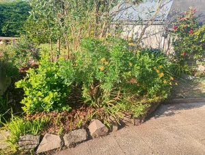 Jardinier Paysagiste Entretien Illustration 0